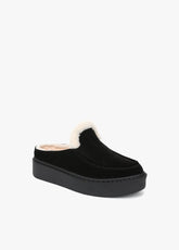 THE SUNNY PLATFORM MULE